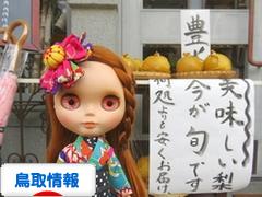 にほんブログ村 地域生活（街） 中国地方ブログ 鳥取県情報へ