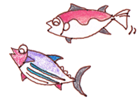 写真:お魚