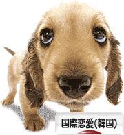 にほんブログ村 恋愛ブログ 国際恋愛(韓国人)へ
