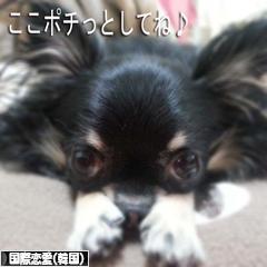 にほんブログ村 恋愛ブログ 国際恋愛（韓国人）へ