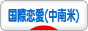 にほんブログ村 恋愛ブログ 国際恋愛（中南米人）へ