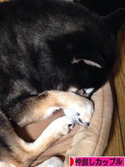 にほんブログ村 恋愛ブログ 仲良しカップルへ