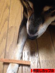 にほんブログ村 恋愛ブログ 仲良しカップルへ