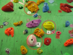 新座市ココロック