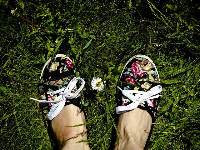grass-932394_640