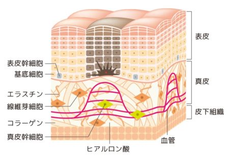 how-to-firm-saggingskin-0001