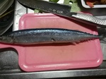 IMG_20130914_232502.jpg