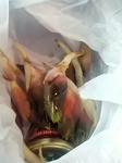 IMG_20130930_195039.jpg