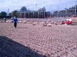 IMG_20131014_100418.jpg