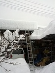 IMG_20140215_094552.jpg