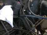 P4080106.JPG