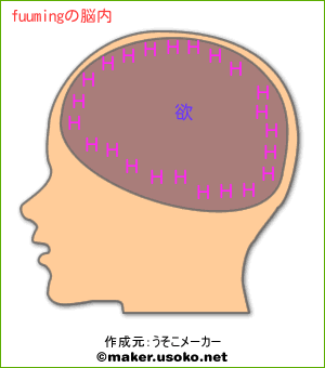fuumingの脳内イメージ