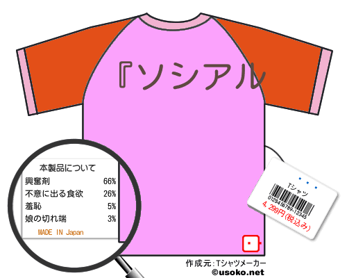 雷蔵Tシャツ