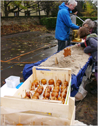 シュタイナースクールの学園祭