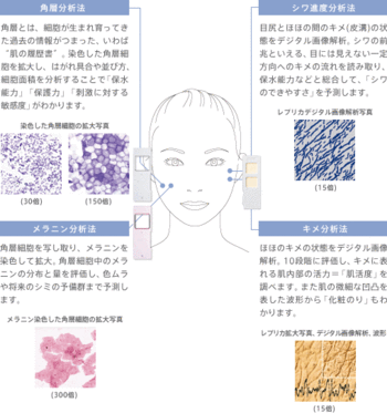Skincheck_2