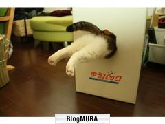 にほんブログ村 経営ブログ コーチへ