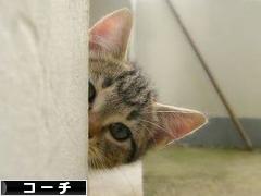 にほんブログ村 経営ブログ コーチへ