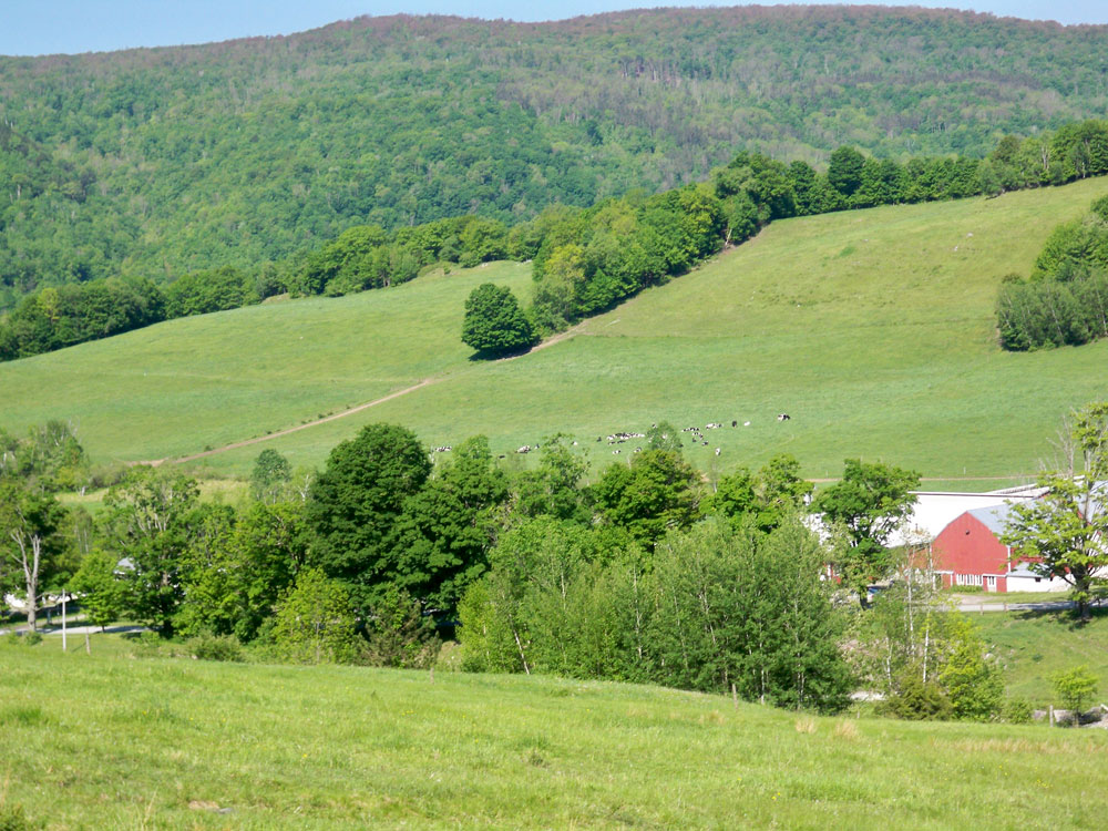Blain's Farm and Fleet