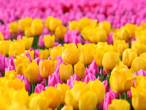 クリックすると新しいウィンドウで開きます