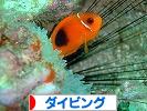 にほんブログ村 マリンスポーツブログ ダイビングへ