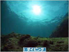 にほんブログ村 マリンスポーツブログ ダイビングへ