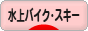 にほんブログ村 マリンスポーツブログ 水上バイク・スキーへ