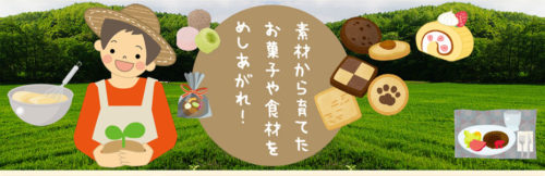 top_image