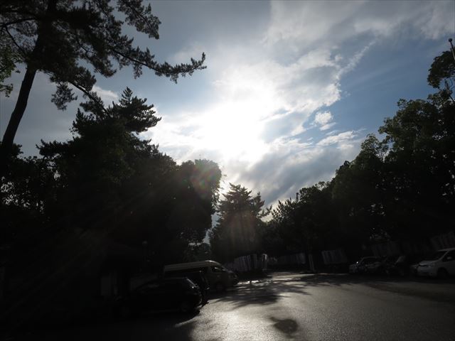 R_写真 4