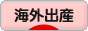 にほんブログ村 マタニティーブログ 海外出産へ