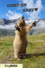 にほんブログ村 マタニティーブログ 不妊（赤ちゃん待ち）へ