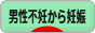 にほんブログ村 マタニティーブログ 男性不妊から妊娠へ