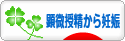 にほんブログ村 マタニティーブログ 顕微授精から妊娠へ