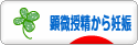 にほんブログ村 マタニティーブログ 顕微授精から妊娠へ
