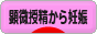 にほんブログ村 マタニティーブログ 顕微授精から妊娠へ