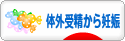 にほんブログ村 マタニティーブログ 体外受精から妊娠へ