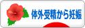 にほんブログ村 マタニティーブログ 体外受精から妊娠へ