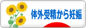 にほんブログ村 マタニティーブログ 体外受精から妊娠へ