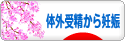 にほんブログ村 マタニティーブログ 体外受精から妊娠へ