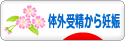 にほんブログ村 マタニティーブログ 体外受精から妊娠へ