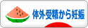 にほんブログ村 マタニティーブログ 体外受精から妊娠へ