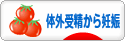 にほんブログ村 マタニティーブログ 体外受精から妊娠へ