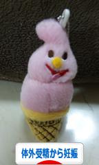 にほんブログ村 マタニティーブログ 体外受精から妊娠へ