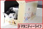にほんブログ村 マタニティーブログ マタニティーライフへ