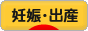 にほんブログ村 マタニティーブログ 妊娠・出産へ