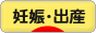 にほんブログ村 マタニティーブログ 妊娠・出産へ