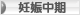 にほんブログ村 マタニティーブログ 妊娠中期へ