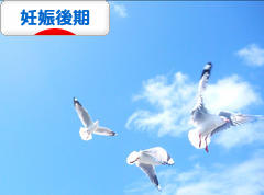 にほんブログ村 マタニティーブログ 妊娠後期へ