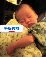 にほんブログ村 マタニティーブログ 妊娠後期へ