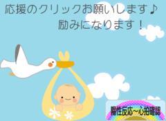 にほんブログ村 マタニティーブログ 陽性反応～心拍確認へ