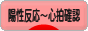 にほんブログ村 マタニティーブログ 陽性反応～心拍確認へ